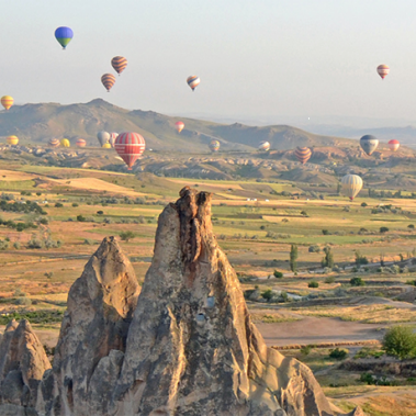 The Alumni Network: An ongoing relationship