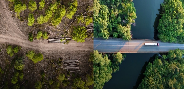 COP30 — The UN Climate Change Conference