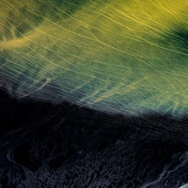 How Environmental Action Is Becoming A Profit Engine