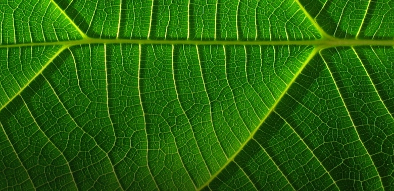 How Sustainability Is Powering Profit
