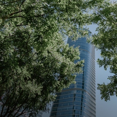 Sustainability Disclosure Is Key To Drive Business Success