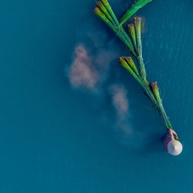  Water Scarcity Threatens Asia’s Agricultural Future