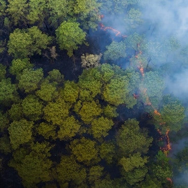 Wildfire Risk Demands Smarter Utility Forecasting